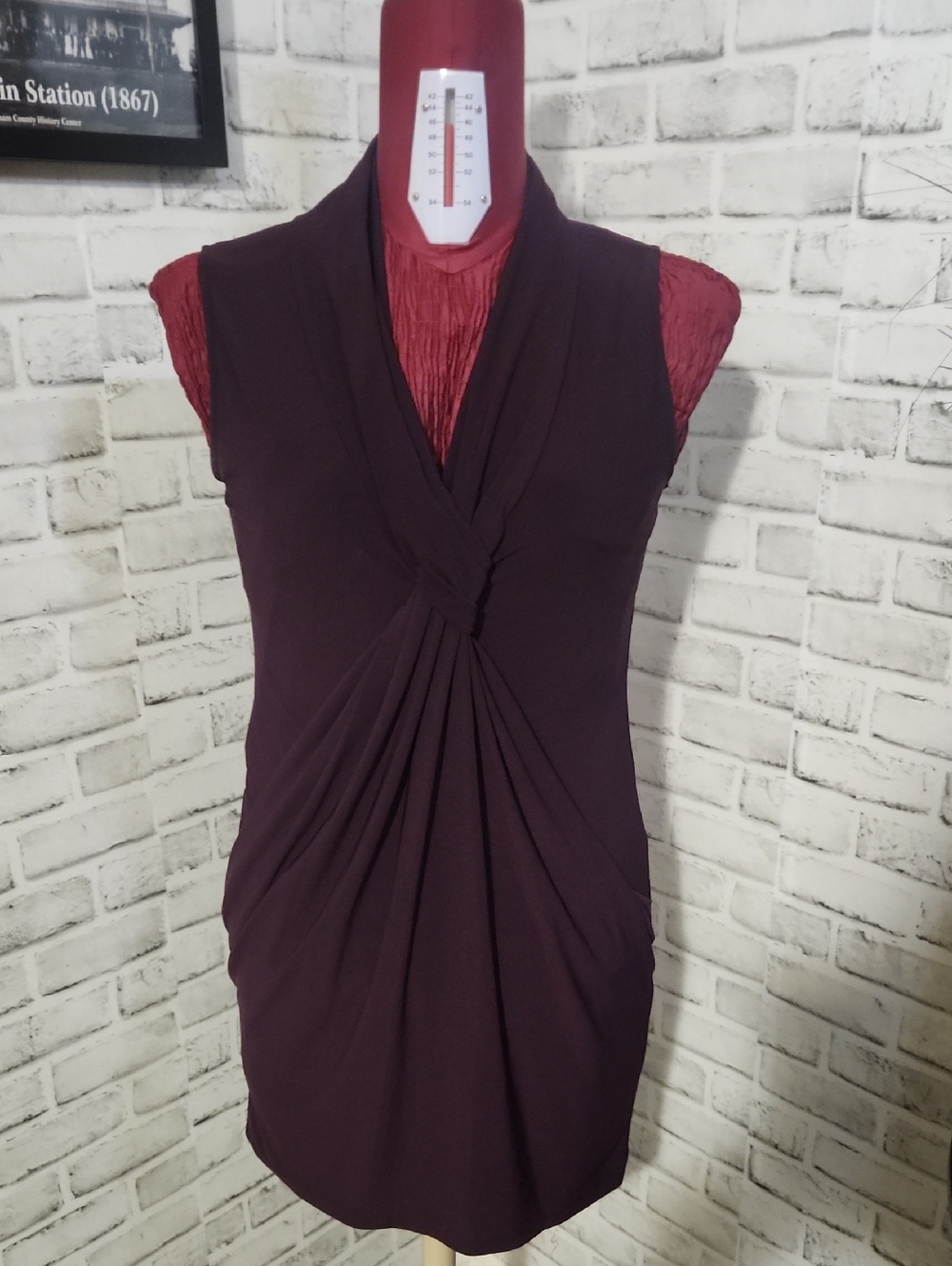 Blush Dark Plum Sheath Dress with Twist Detail